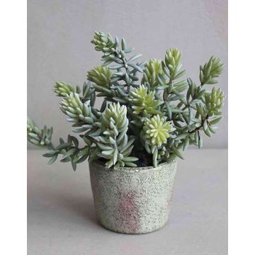 Pachyphytum artificiale LUDO in vaso decorativo, verde-grigio, 20cm