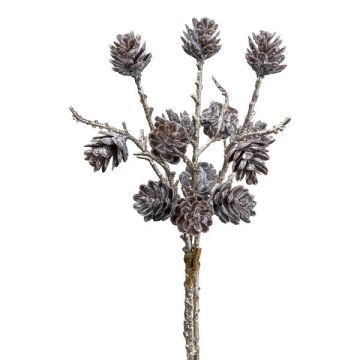Coni di abete artificiali FALTO, marroni e bianchi, 30 cm