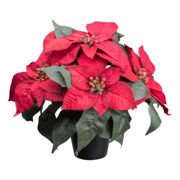 Fiore artificiale Stella di Natale FRIZO in vaso decorativo, rosso, 26 cm