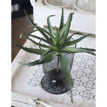 Aloe vera artificiale WHITNEY, stelo, verde scuro, 18cm