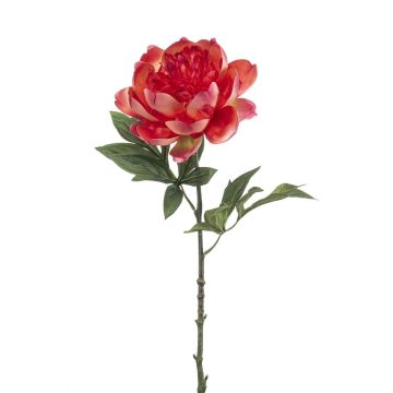 Fiore artificiale peonia TWOLER, corallo, 55 cm