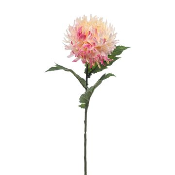 Crisantemo artificiale SAXLER, rosa chiaro, 55 cm