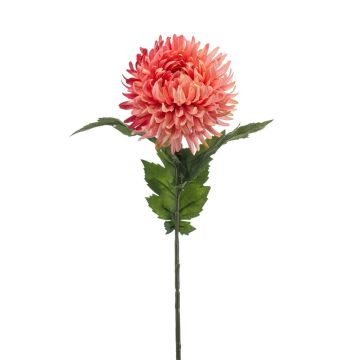 Crisantemo artificiale SAXLER, corallo, 55 cm