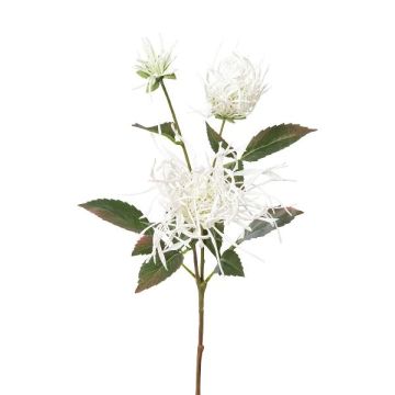 Ramo decorativo crisantemo MIRANE, bianco, 70 cm