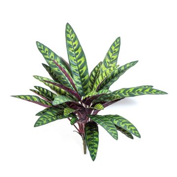 Pianta artificiale Calathea Makoyana MANAMI su bastoncino, verde-rossa, 40 cm