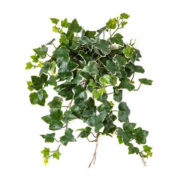 Edera artificiale LINNEO su bastone, crossdoor, verde-bianco, 50 cm