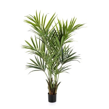 Palma Kentia artificiale OMAYRA, difficilmente infiammabile, 170 cm