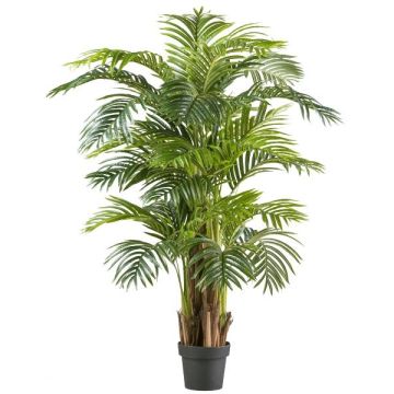 Pianta artificiale Palma Areca BECKET in vaso decorativo, 150 cm