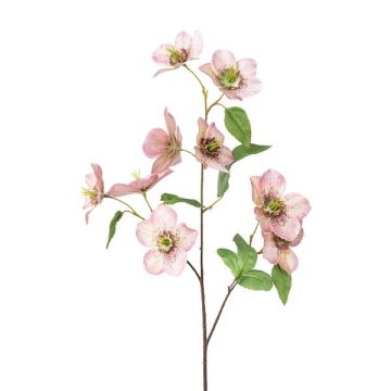 Ramo artificiale di rosa di Natale PRAMVE, rosa, 60 cm
