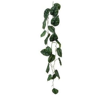 Ghirlanda artificiale di edera maculata JALPO, verde, 125 cm