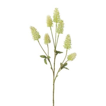 Ramo artificiale trifoglio bianco TREVLA con fiori, verde, 55 cm