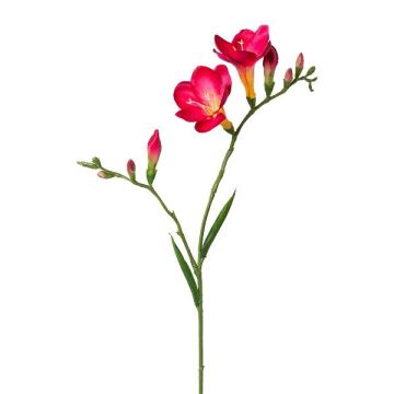 Ramo decorativo fresia FONDYL, rosa, 70 cm