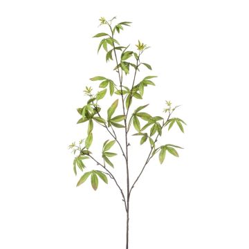 Ramo decorativo di aralia MOLFER, verde, 115 cm