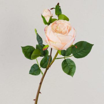 Rosa centifolia artificiale MIRETTA, rosa-verde, 60cm, Ø3-9cm