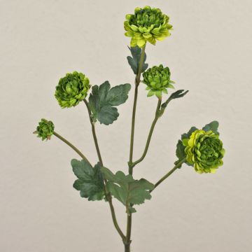 Crisantemo artificiale RYON, verde, 70cm, Ø3-5cm