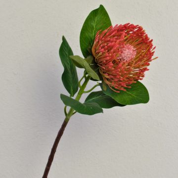Protea artificiale TANJA, rosso-arancione, 65cm