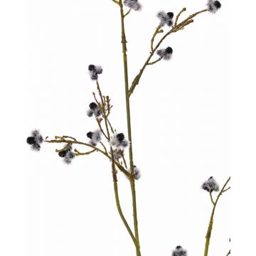 Stirlingia latifolia artificiale COLLAN, nero-bianco, 85cm
