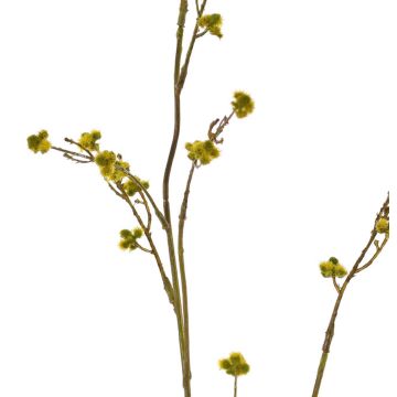 Stirlingia latifolia artificiale COLLAN, verde-giallo, 85cm