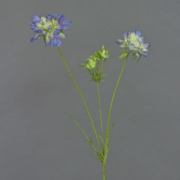 Scabiosa artificiale ANDIA, blu-viola, 80cm, Ø8-10cm