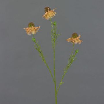 Echinacea artificiale CELIO, arancione, 60cm, Ø6cm