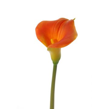 Calla artificiale MIRAC, arancione, 75cm, 13x15cm