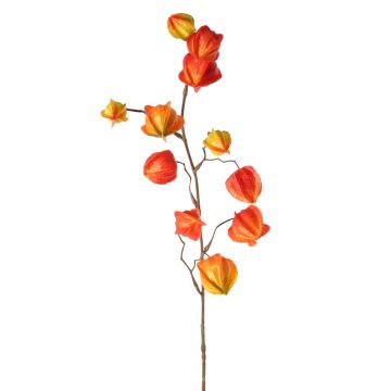 Ramo artificiale di physalis PERSEI con frutti, arancione, 80cm