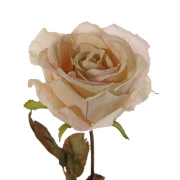 Rosa artificiale NAJMA, crema, 65cm, Ø11cm