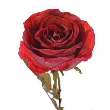 Rosa artificiale NAJMA, rosso, 65cm, Ø11cm