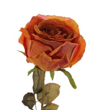 Rosa artificiale NAJMA, arancione, 65cm, Ø11cm