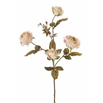 Ramo artificiale di rose SITARA, crema, 75cm, Ø5-8cm
