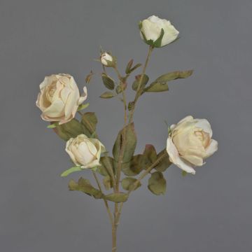 Ramo artificiale di rose SITARA, crema, 75cm, Ø5-8cm