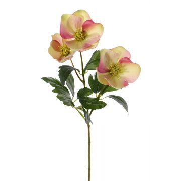 Rosa di Natale artificiale AKRAB, crema-rosa, 45cm, Ø5-8cm
