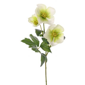 Rosa di Natale artificiale AKRAB, verde-bianco, 45cm, Ø5-8cm