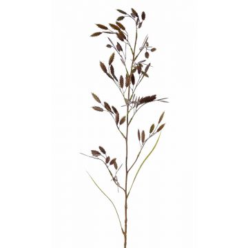 Chasmanthium latifolium artificiale GENNA con spighe, marrone-verde, 100cm
