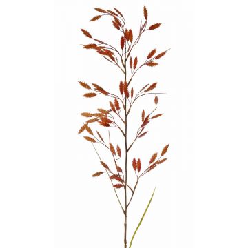 Chasmanthium latifolium artificiale GENNA con spighe, rosso-arancione, 100cm