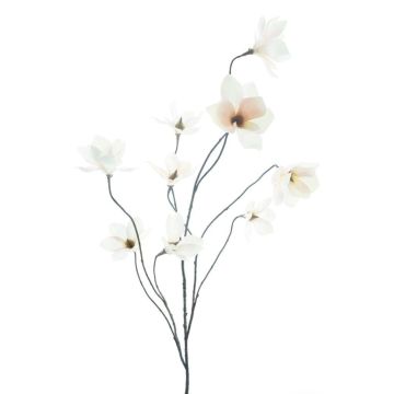 Ramo artificiale magnolia MAZANA, bianco-rosa, 125 cm