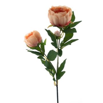 Ramo decorativo di peonia THEMIA, color pesca, 65 cm