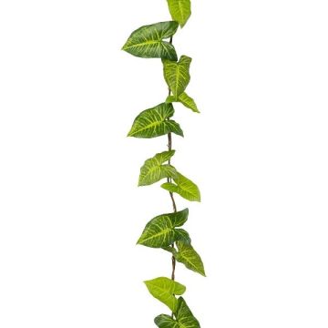 Ghirlanda artificiale Syngonium OSSIAN, verde, 185 cm