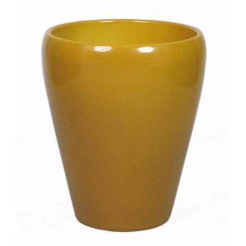 Vaso conico per orchidee NAZARABAD, ceramica, giallo ocra, 17cm, Ø14cm