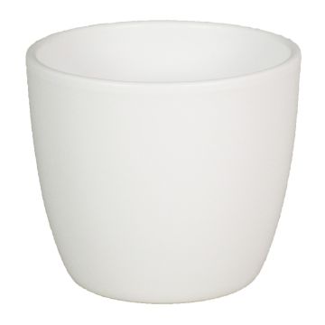 Piccolo vaso in ceramica per piante TEHERAN BASAR, bianco-opaco, 9,8cm, Ø12cm