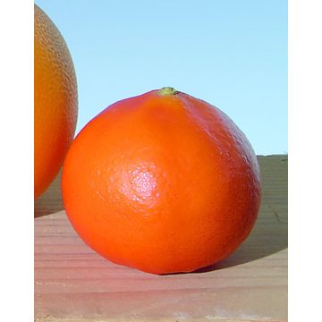 Mandarino artificiale MAHINA, arancione, 5,5cm, Ø6cm