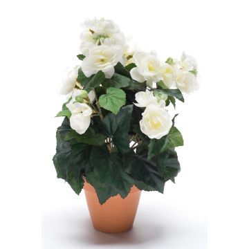 Begonia artificiale CATINKA in vaso di terracotta, crema, 30cm