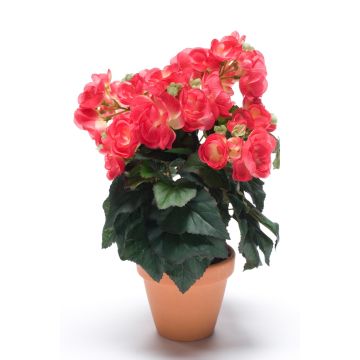Begonia artificiale CATINKA in vaso di terracotta, rosa, 30cm