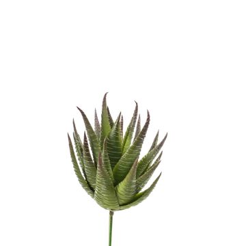 Aloe Aristata artificiale GABRIELA su stelo, verde, 15cm, Ø10cm