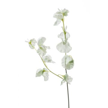 Lathyrus artificiale VICENZO, verde-bianco, 50cm