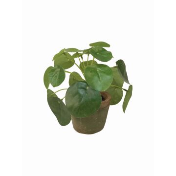 Pilea peperomioides finto SYBIL in vaso di terracotta, verde, 13cm