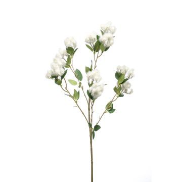 Ramo artificiale di pioppo CALP con fiori, crema, 65cm