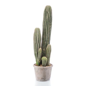 Cactus artificiale San Pedro DACON in vaso decorativo, verde, 55cm