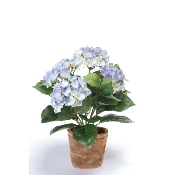 Ortensia artificiale LAIDA in vaso di terracotta, blu chiaro, 35cm