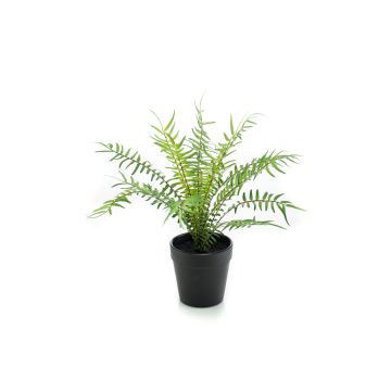 Felce blechnum spicant artificiale CASCOT, verde, 20cm